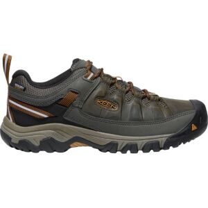  Black Olive/Golden Brown