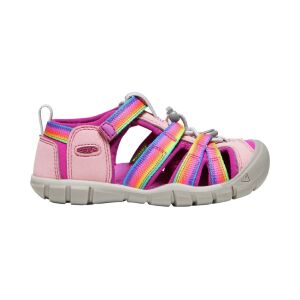 Rainbow/Festival Fuchsia