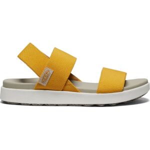  GOLDEN YELLOW/STAR WHITE